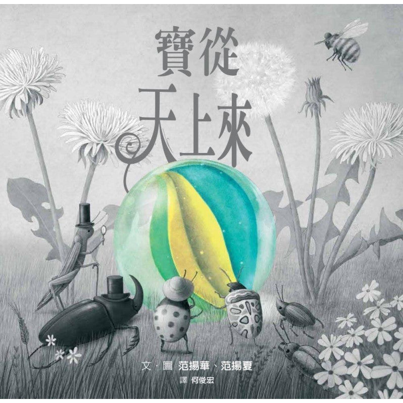 寶從天上來兒童繪本內容