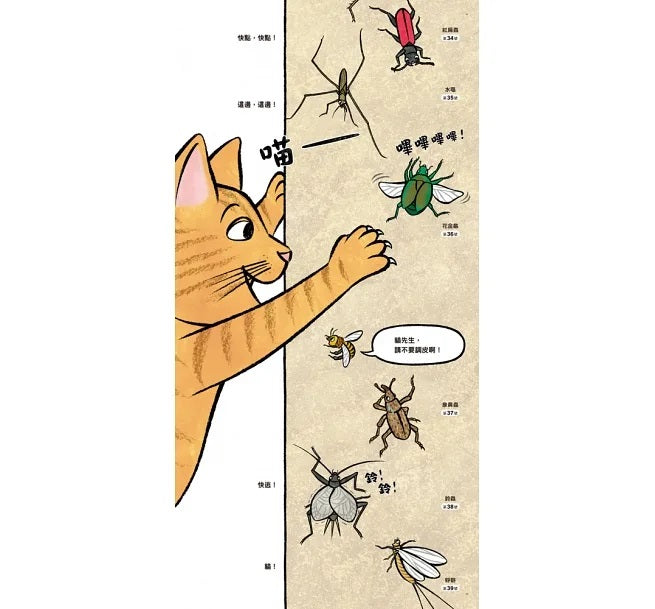 昆蟲在排什麼呢?(二版)兒童繪本內容