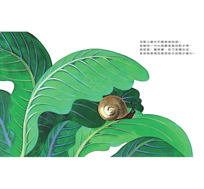 世界上最大的房子兒童繪本內容