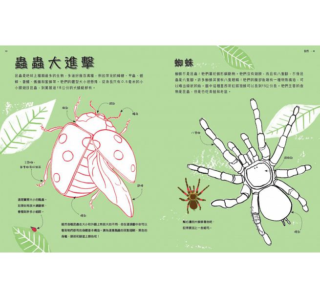 原來科學這麼好玩：30種翻轉思考的手作活動兒童繪本內容