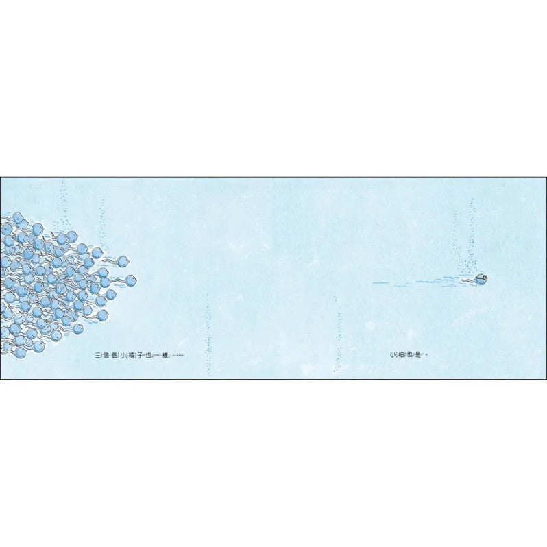 小精子的大冒險兒童繪本內容