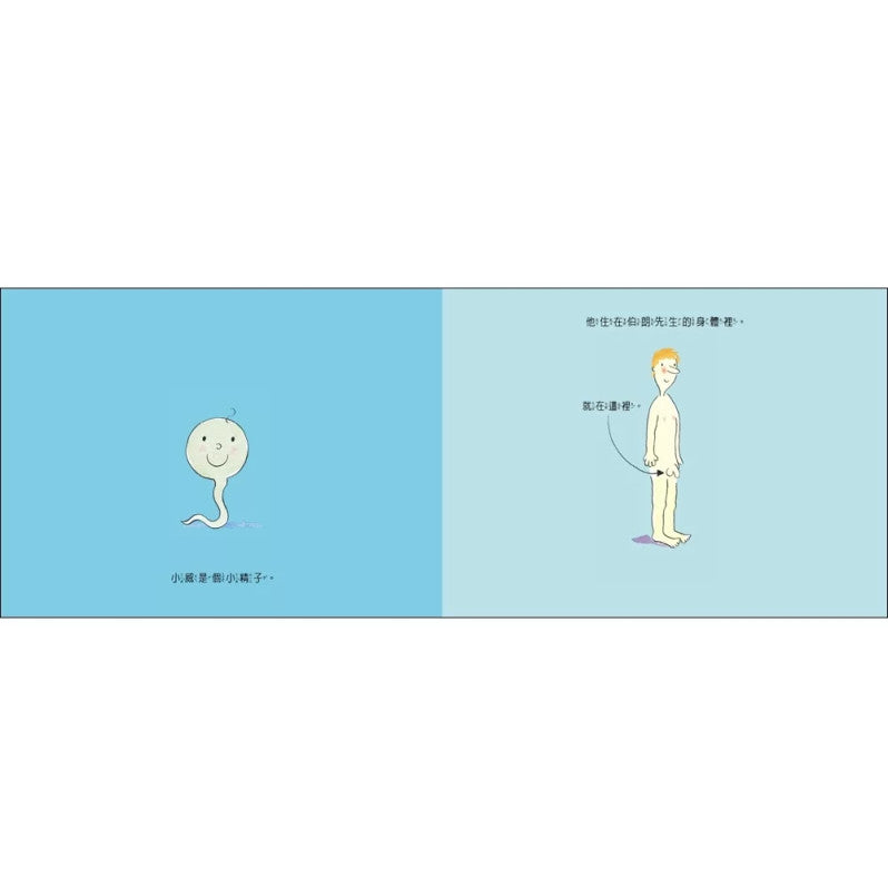 小精子的大冒險兒童繪本內容