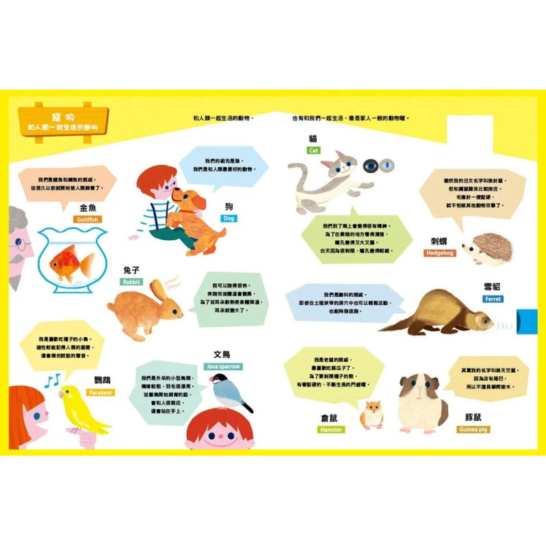 原來動物是這樣子啊!兒童繪本內容