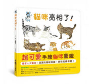 貓咪亮相了!兒童繪本內容