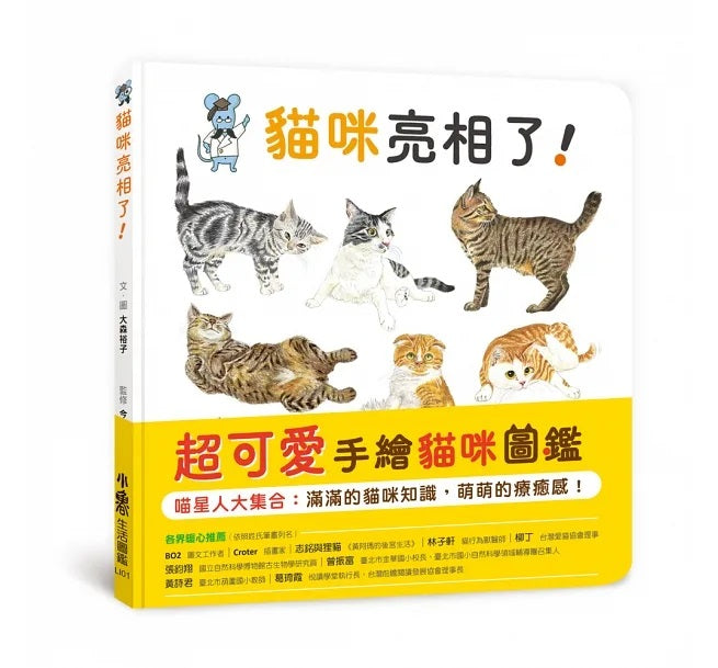 貓咪亮相了!兒童繪本內容