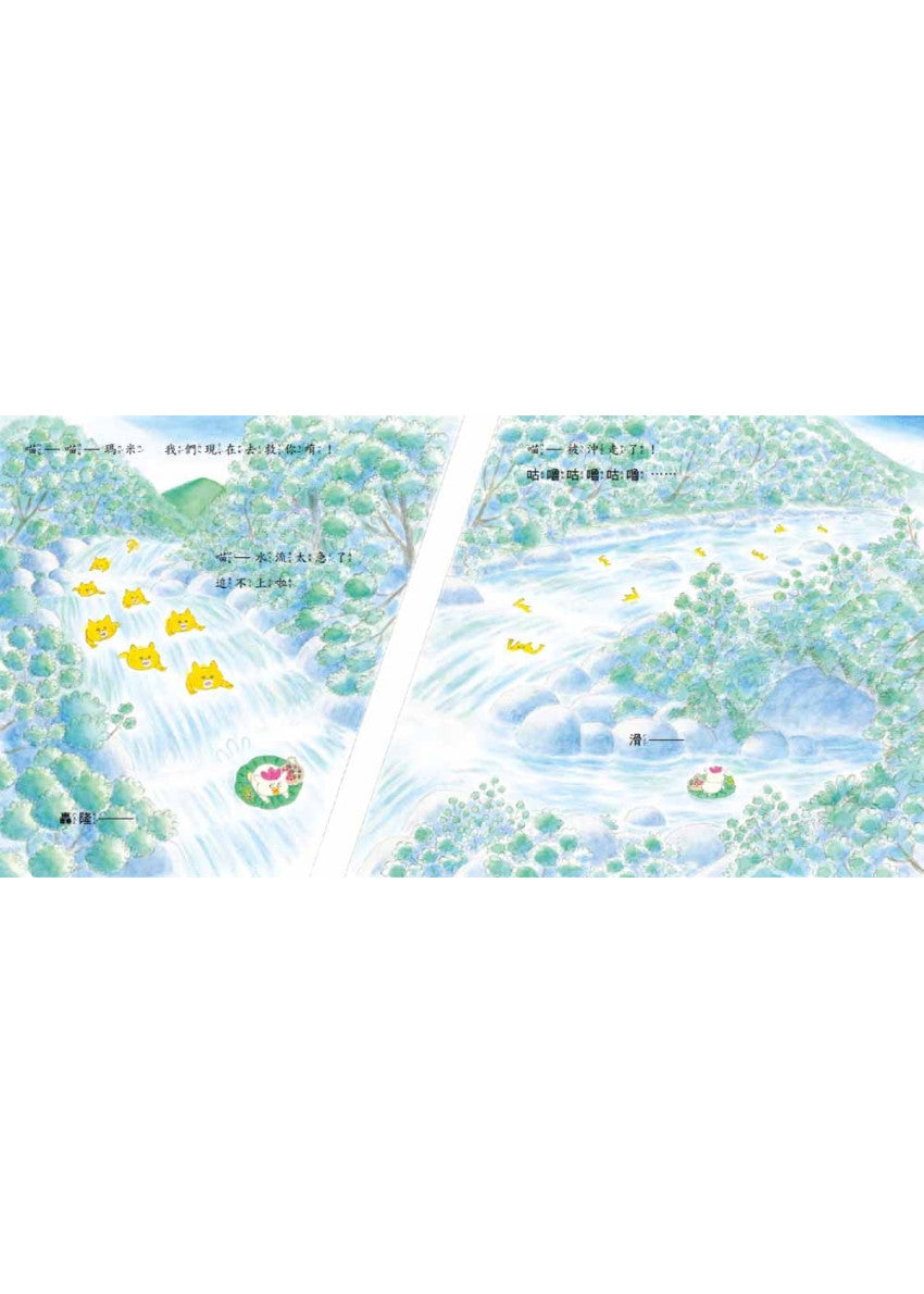 野貓軍團去露營兒童繪本內容