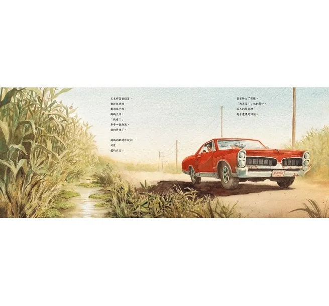 西洋菜(首刷限量經典珍藏書衣)兒童繪本內容