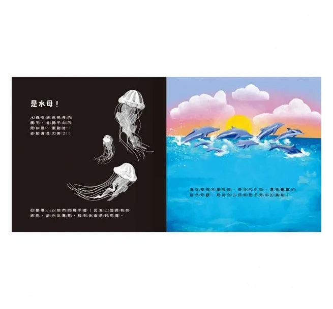 登登登!透光Show 海洋生物來囉!兒童繪本內容