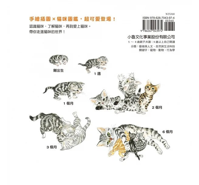 貓咪亮相了!兒童繪本內容