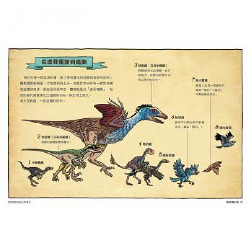 達克比辦案6：暴龍遇到雞：動物的祖先與演化兒童繪本內容