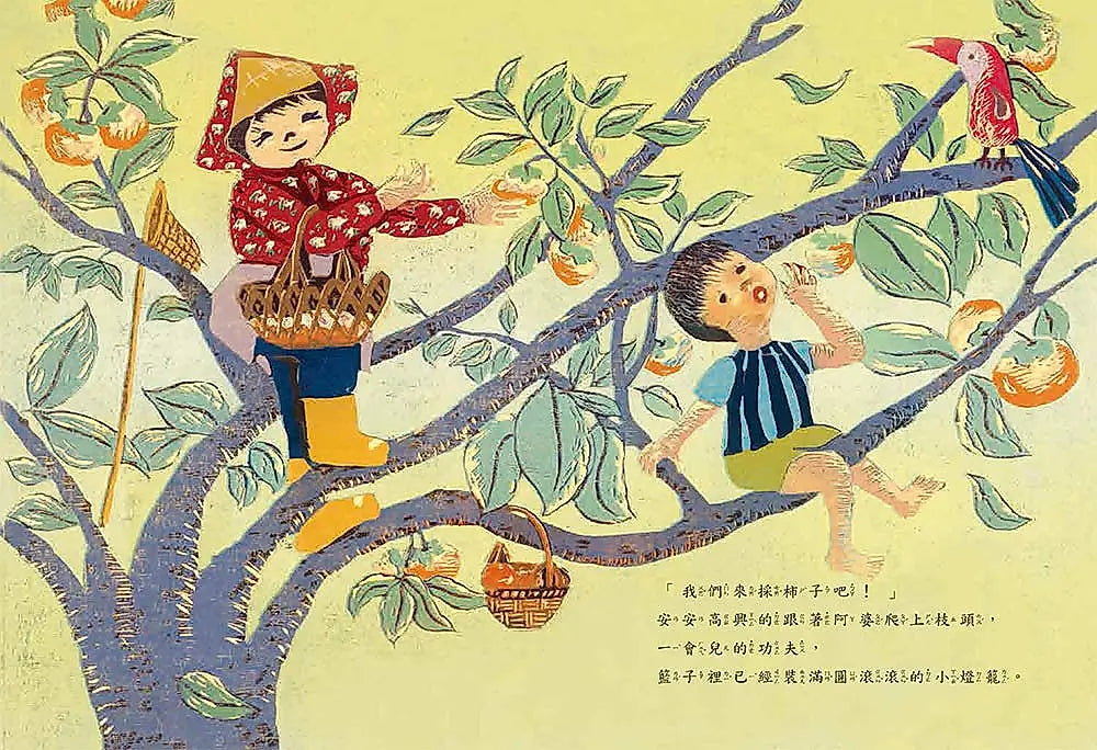 阿婆的燈籠樹 (二版)