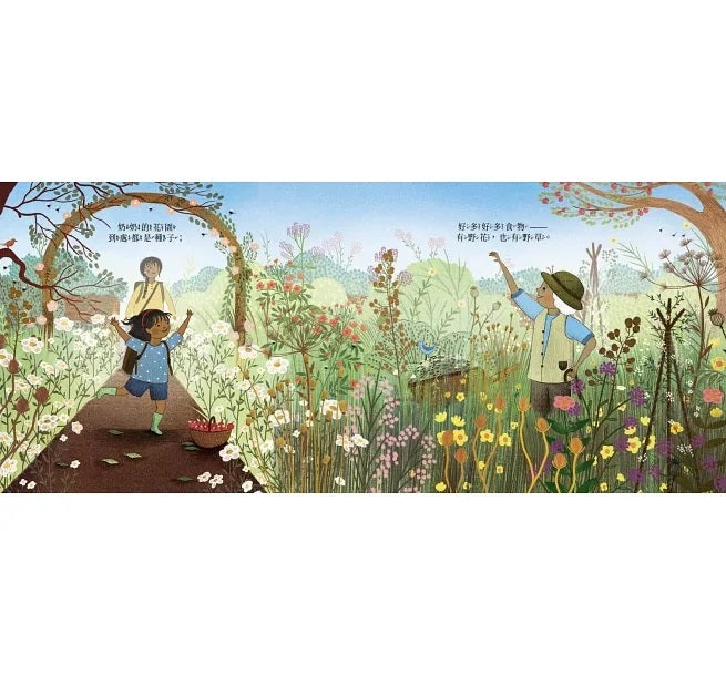 奶奶的花園兒童繪本內容