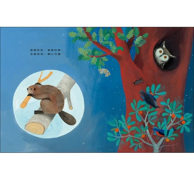 動物建築師兒童繪本內容