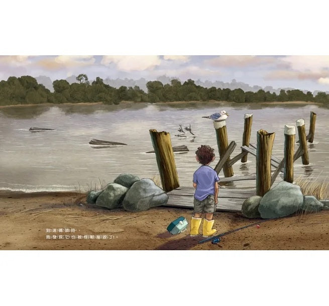 颶風來了!兒童繪本內容