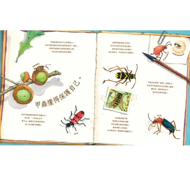 自然科核心素養最佳讀物 大自然繪本套書1【暢銷紀念版】(沉睡中的種子+活生生的石頭+害羞的甲蟲)兒童繪本內容