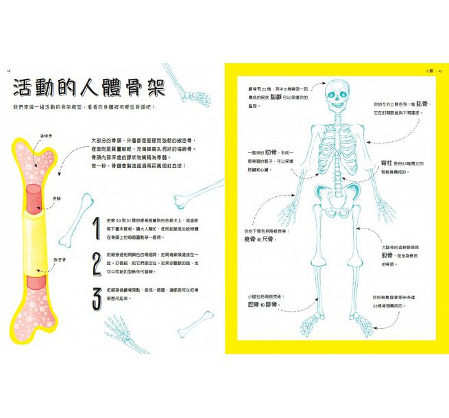 原來科學這麼好玩：30種翻轉思考的手作活動兒童繪本內容