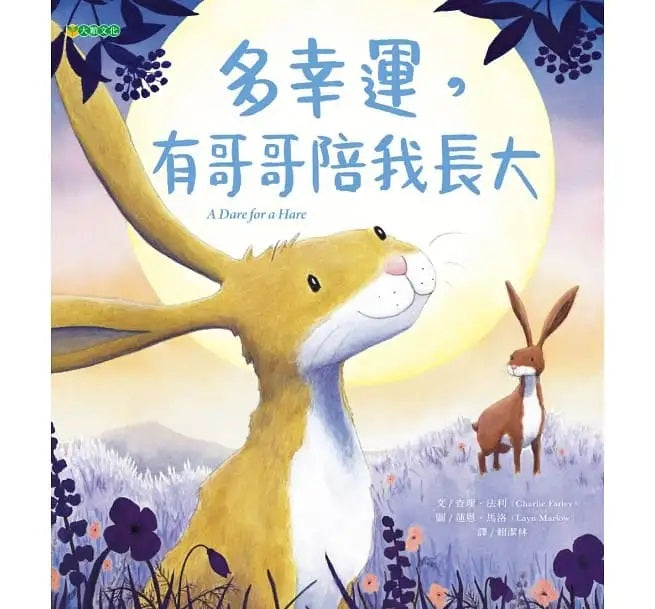 多幸運，有哥哥陪我長大兒童繪本內容