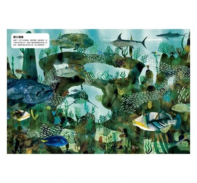 動物偽裝大師：是誰躲在裡面?兒童繪本內容