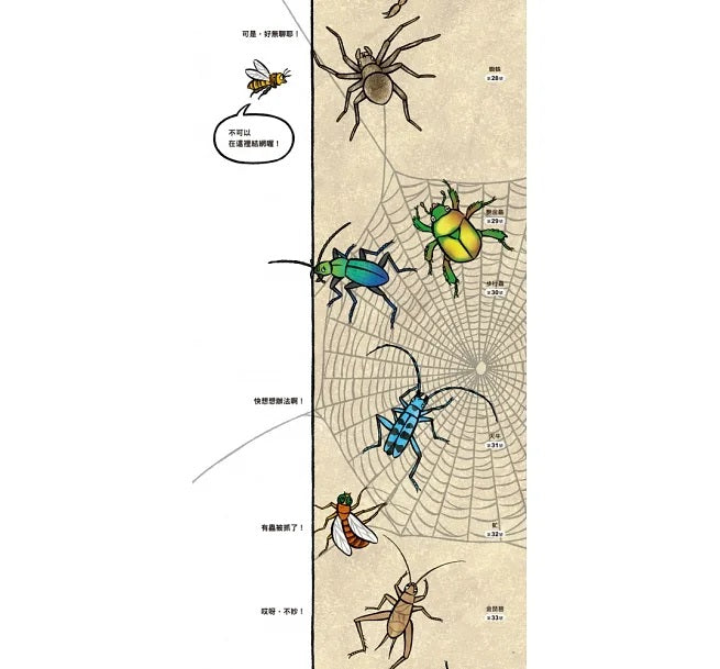 昆蟲在排什麼呢?(二版)兒童繪本內容