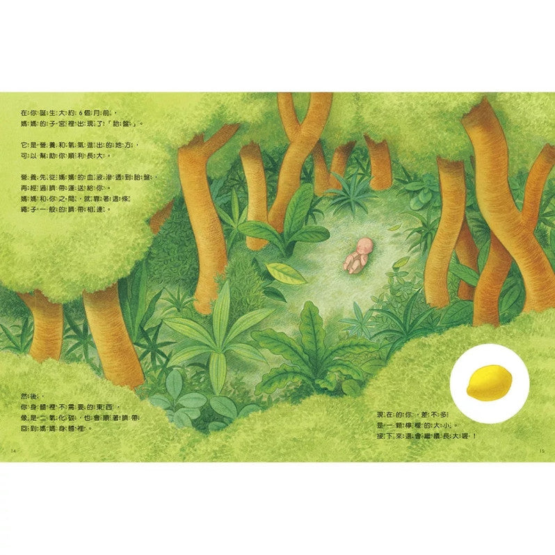 你在媽媽肚子裡的時候兒童繪本內容