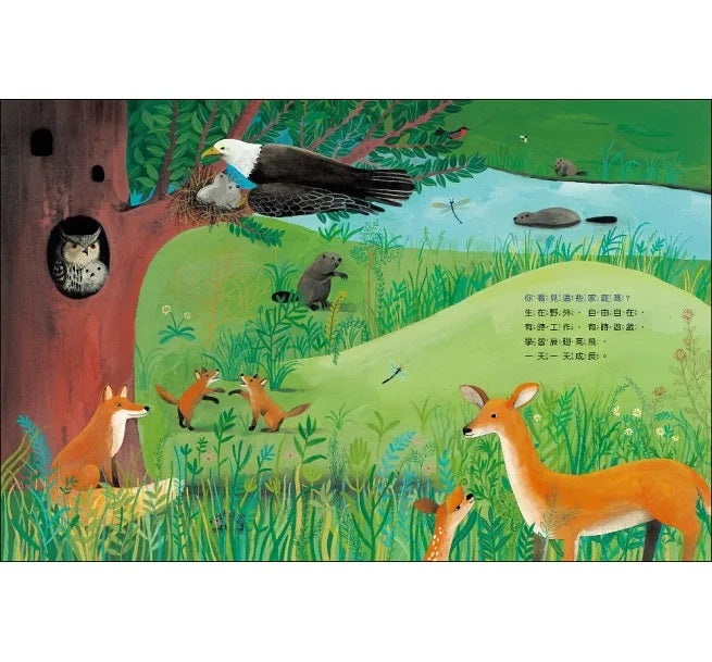 動物建築師兒童繪本內容