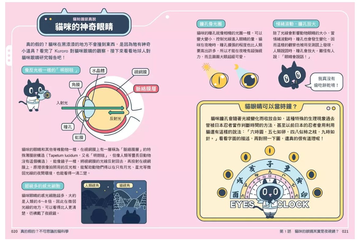 Kuroro 地球觀察報告1：真的假的?不可思議的貓科學兒童繪本內容