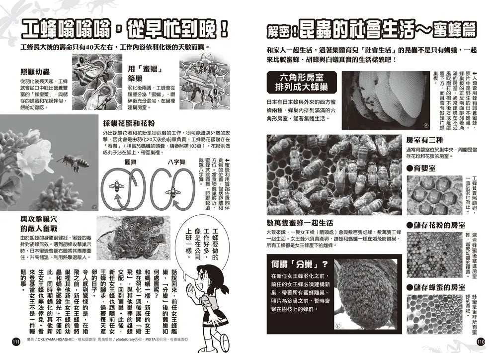 哆啦A夢科學大冒險7：昆蟲星球探險隊兒童繪本內容
