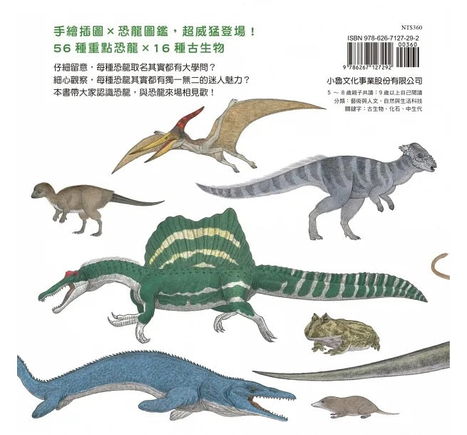 恐龍出現了!兒童繪本內容