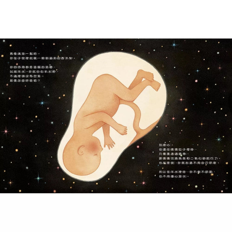 你在媽媽肚子裡的時候兒童繪本內容