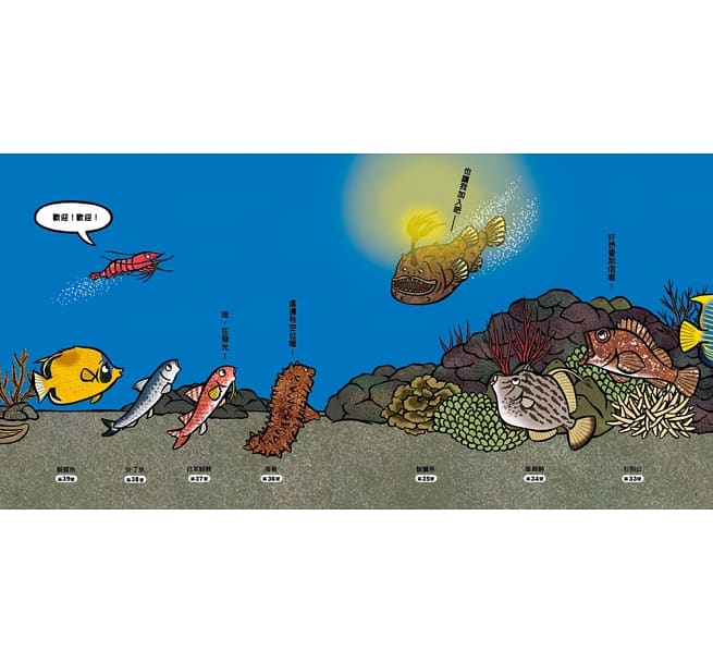 海底在排什麼呢?兒童繪本內容