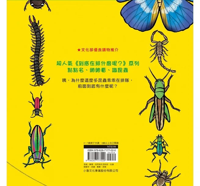 昆蟲在排什麼呢?(二版)兒童繪本內容