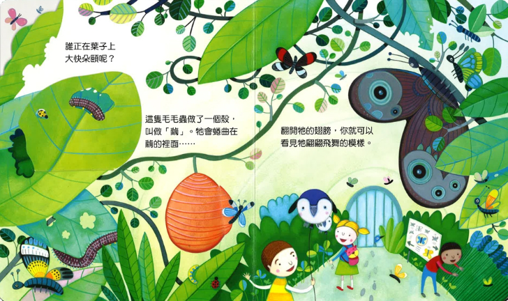 偷偷看一下：逛逛動物園兒童繪本內容