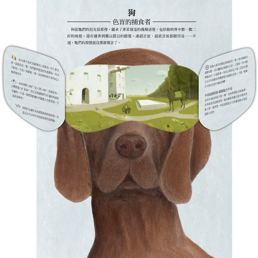 動物眼中的世界(典藏新裝版)兒童繪本內容