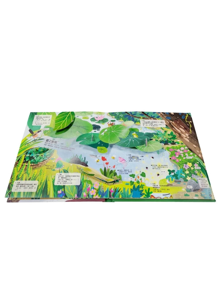 二十四節氣立體遊戲書(24個節氣+29個互動機關)兒童繪本內容