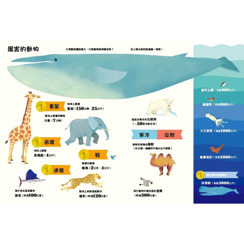 原來動物是這樣子啊!兒童繪本內容