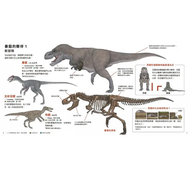 恐龍出現了!兒童繪本內容