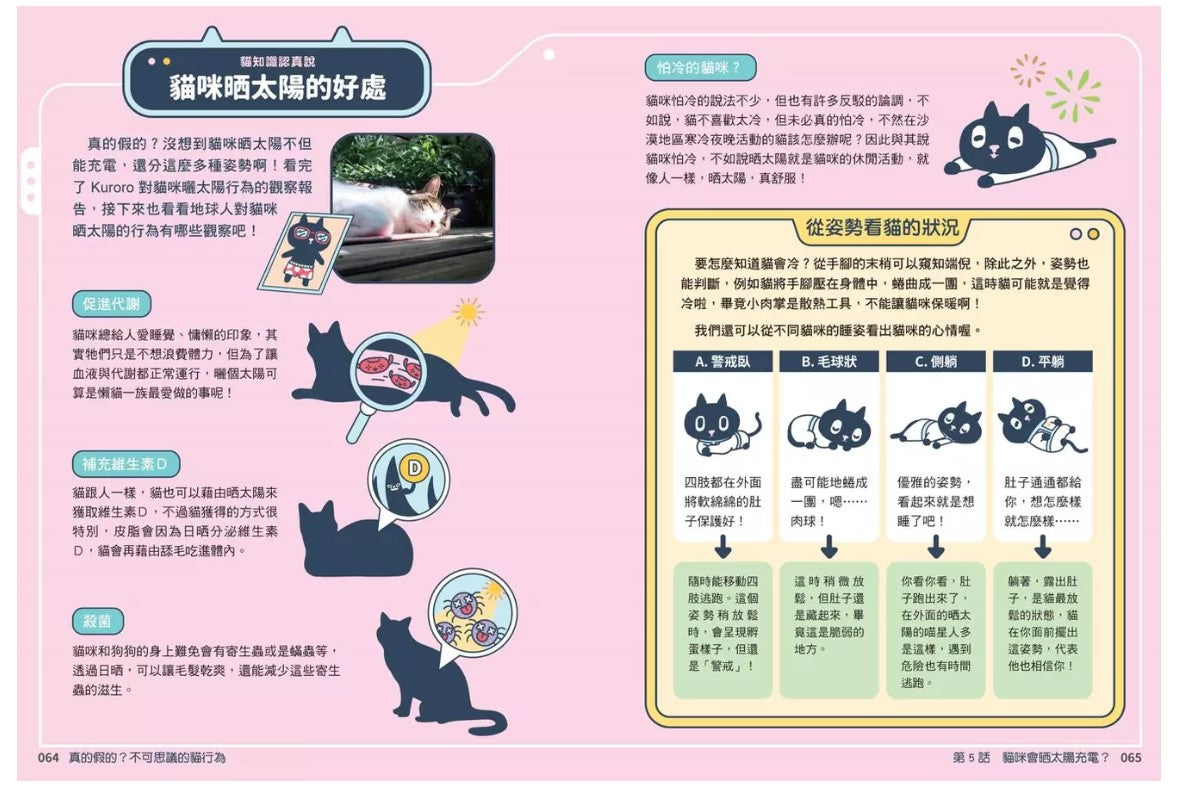 Kuroro 地球觀察報告2：真的假的?不可思議的貓行為兒童繪本內容