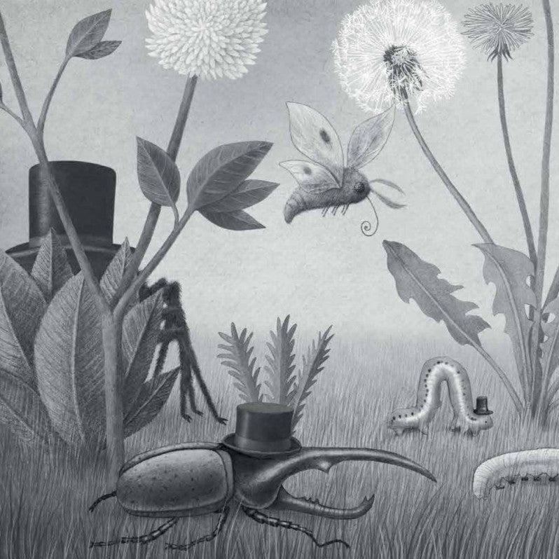 寶從天上來兒童繪本內容