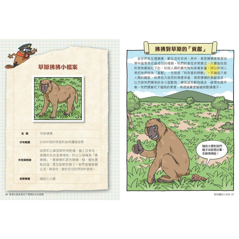 達克比辦案14：莽原生死鬥：草原生態系與地下環境的生存適應兒童繪本內容