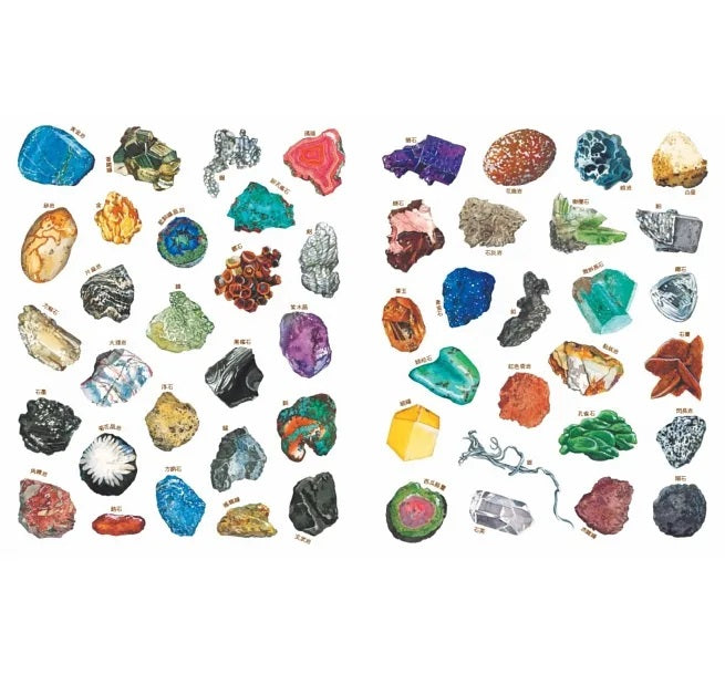 自然科核心素養最佳讀物 大自然繪本套書1【暢銷紀念版】(沉睡中的種子+活生生的石頭+害羞的甲蟲)兒童繪本內容