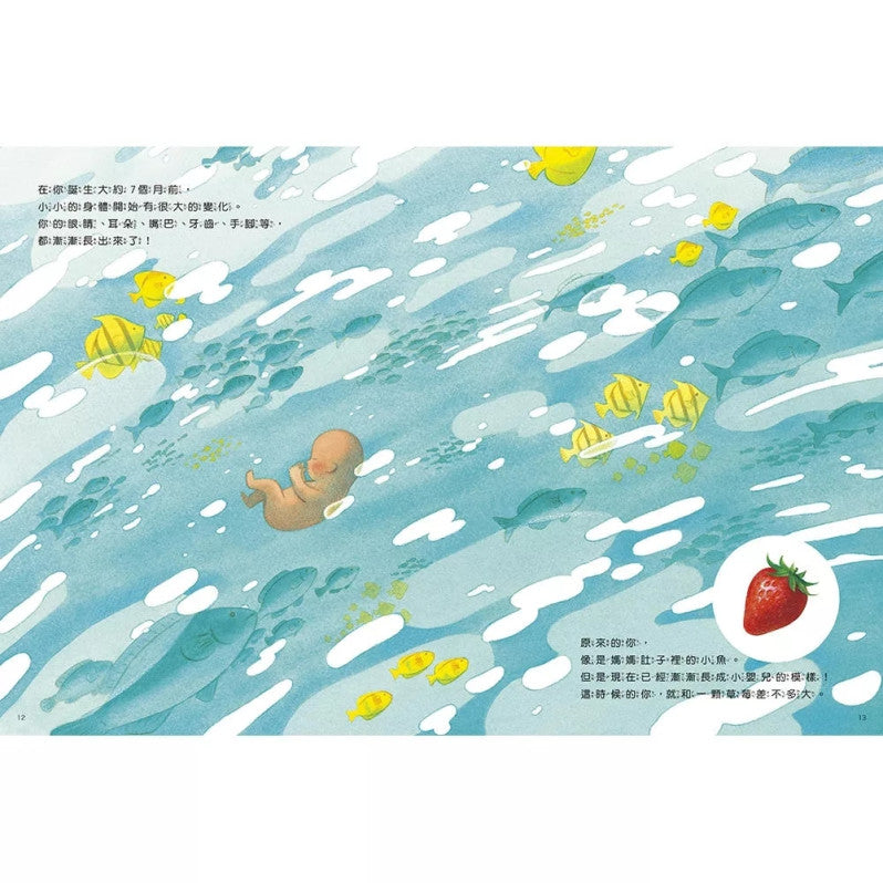 你在媽媽肚子裡的時候兒童繪本內容