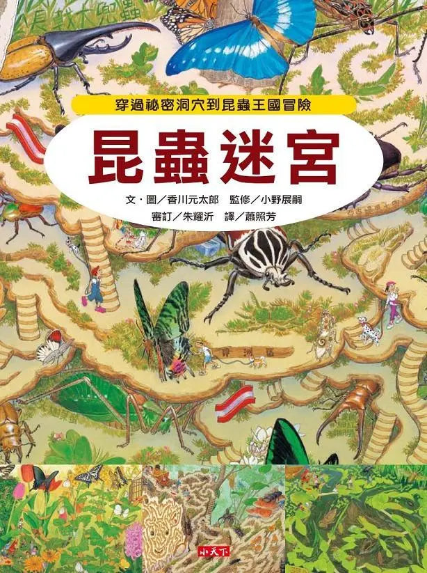 昆蟲迷宮兒童繪本內容