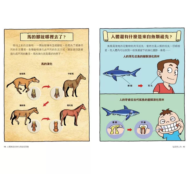 達克比辦案10：鬼屋美人魚：人類構造的演化與返祖現象兒童繪本內容