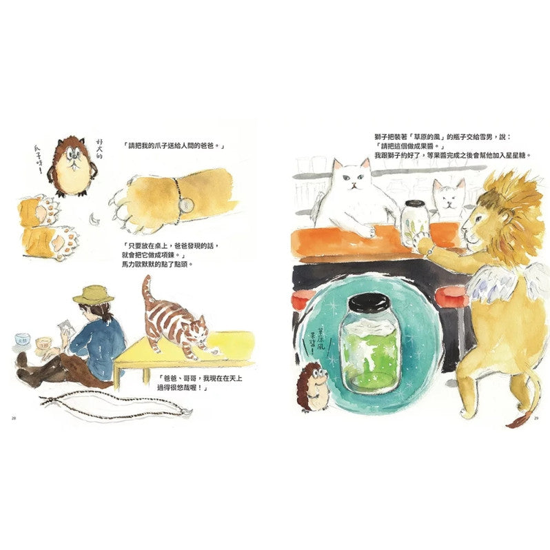 天上的貓：天空郵差兒童繪本內容