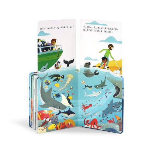 鯊魚，在哪裡？
