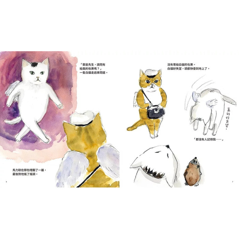 天上的貓：天空郵差兒童繪本內容