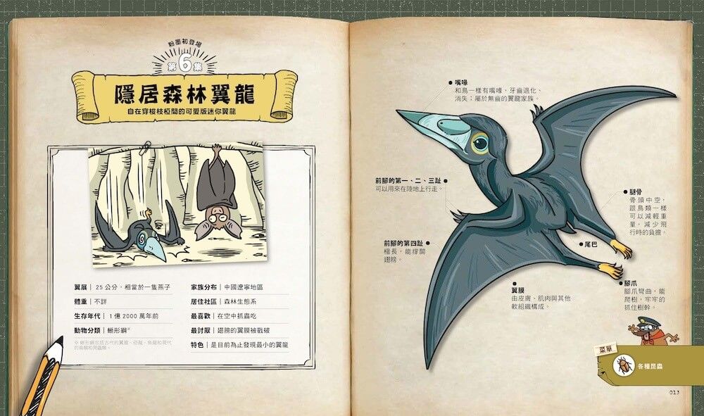 達克比與他的生物好朋友1：遠古與水中生物篇|跨時空的驚奇旅程，發現眾多生物不為人知的祕密兒童繪本內容