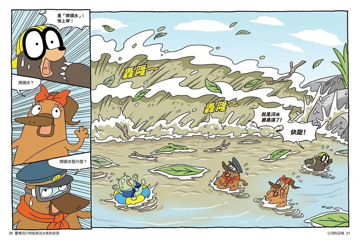 達克比辦案16：激流東西軍：臺灣河川特色與淡水魚的來源