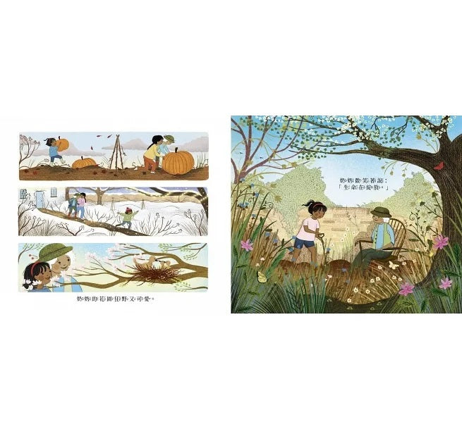 奶奶的花園兒童繪本內容