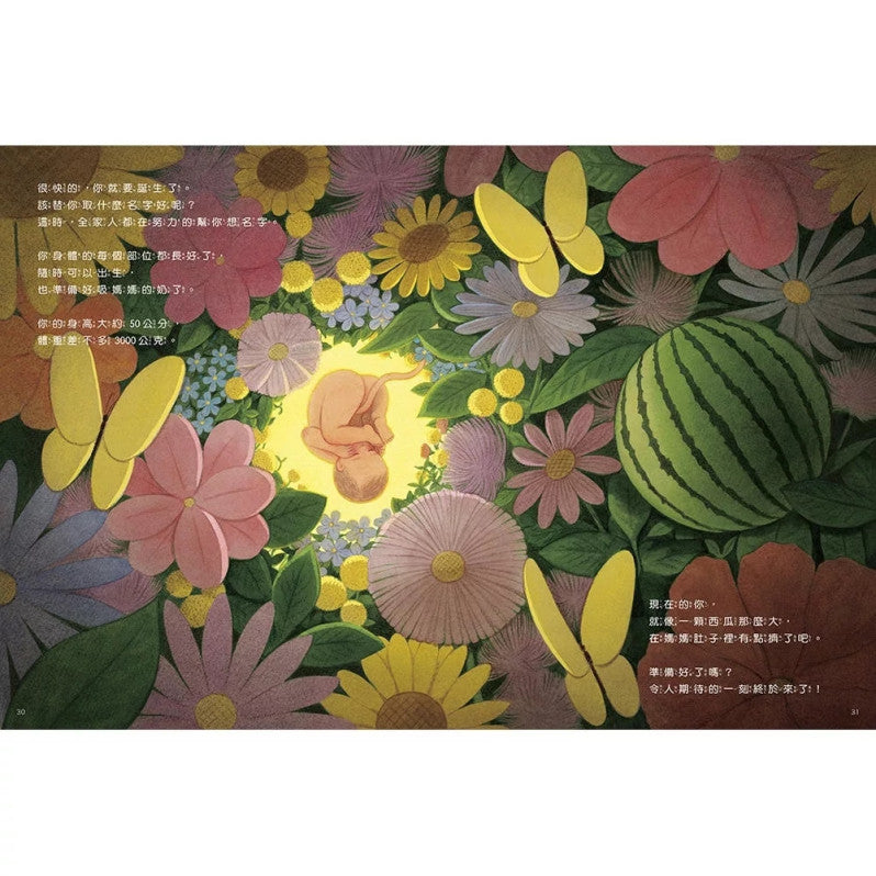 你在媽媽肚子裡的時候兒童繪本內容